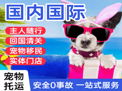 阳江合山航空物流国际宠物托运 【国